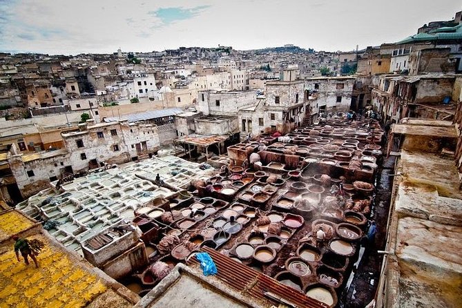 Fez Medina 4-Hour Guided Walking Tour - From Quaraouiyine Mosque to the Andalusian Mosque