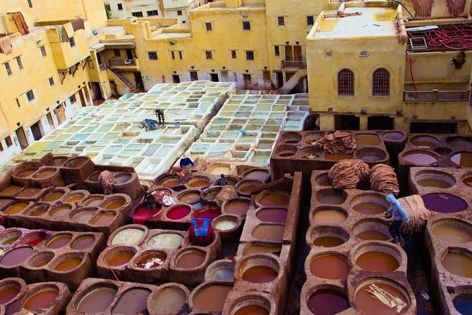 Fez Medina 4-Hour Guided Walking Tour - How much value do you get for $45?