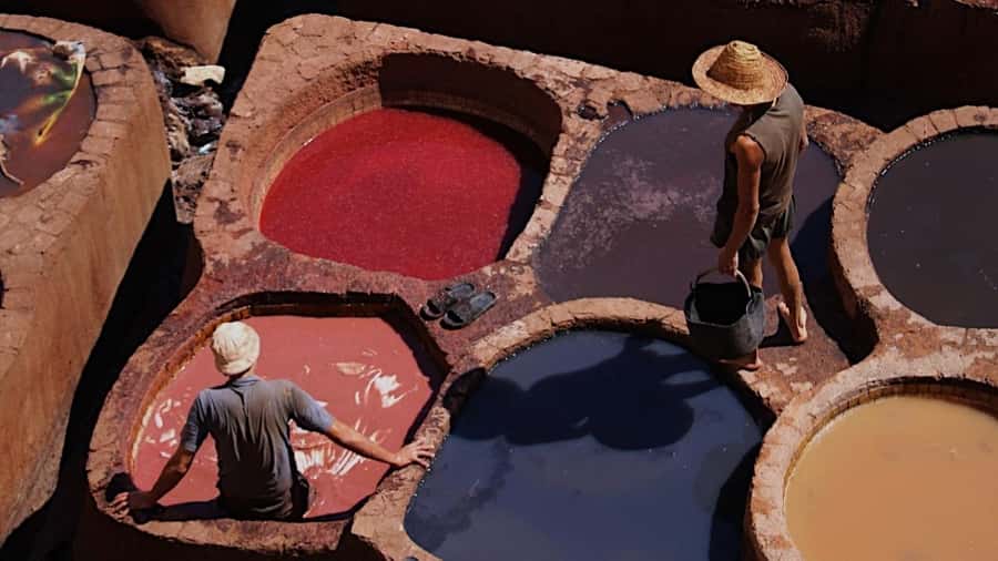 Fez Medina Guided Tour - Quaraouiyine Mosque and the Andalusian Mosque