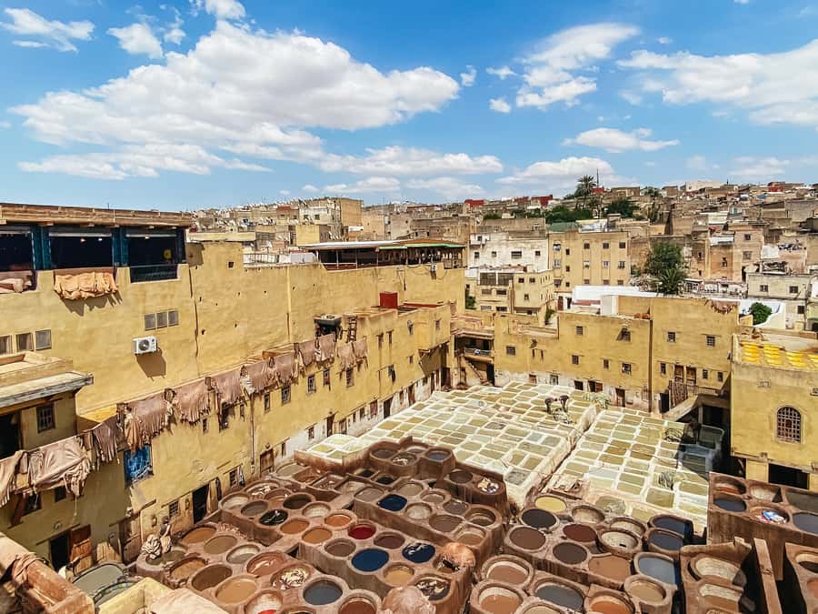 Fez Medina Guided Tour - Artisan Cooperatives: Useful Demonstrations, Real Sales Pressure