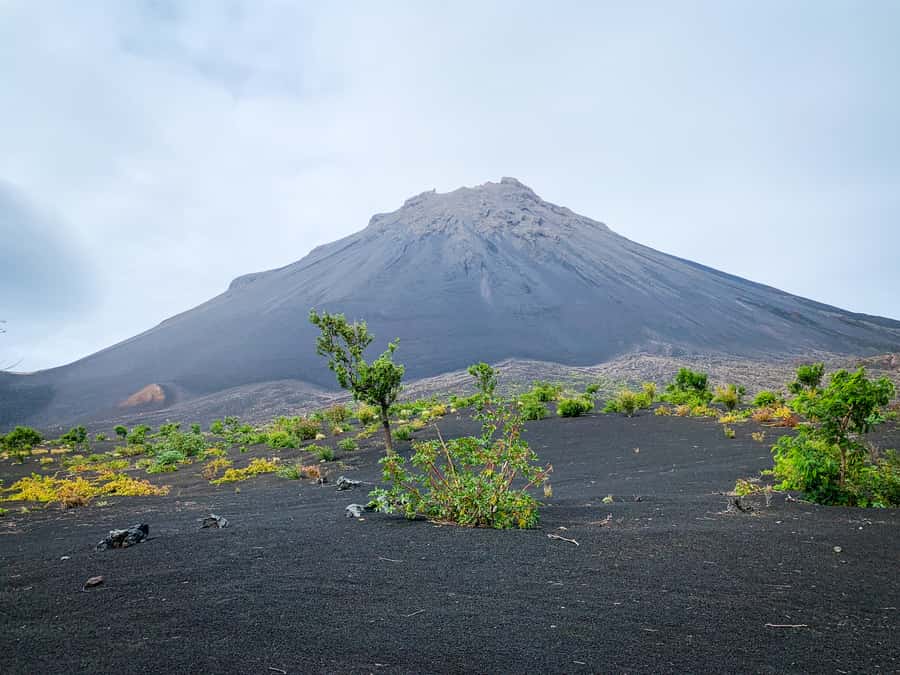 Fogo Island: Pico do Fogo Volcano Summit Hike - Key points at a glance