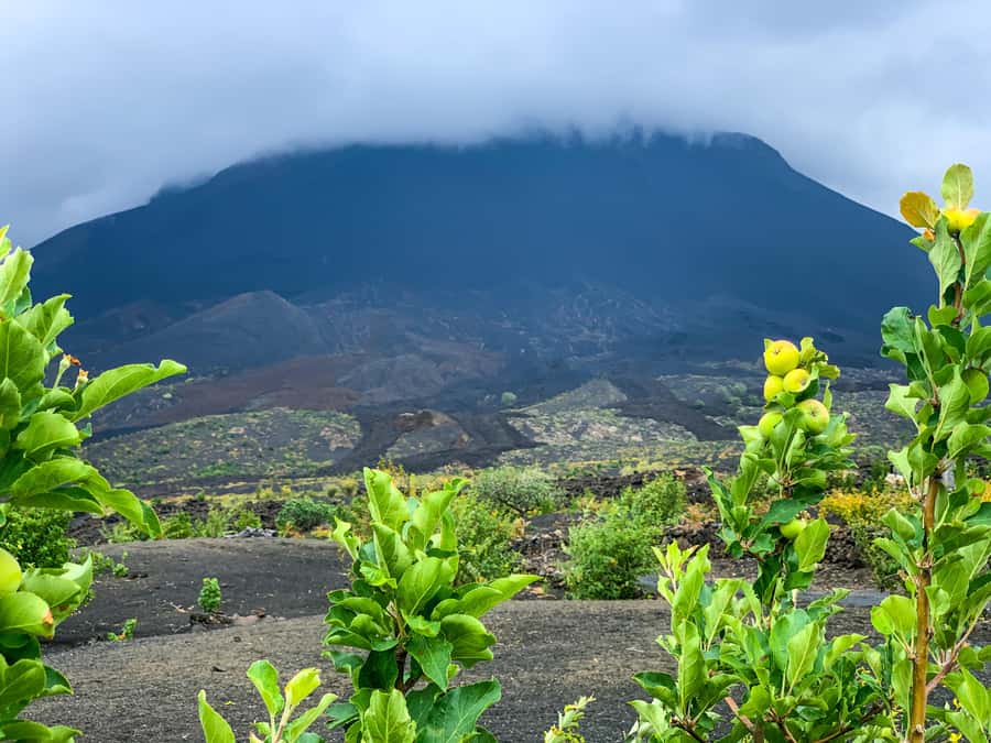 Fogo Island: Pico do Fogo Volcano Summit Hike - What the summit gives you