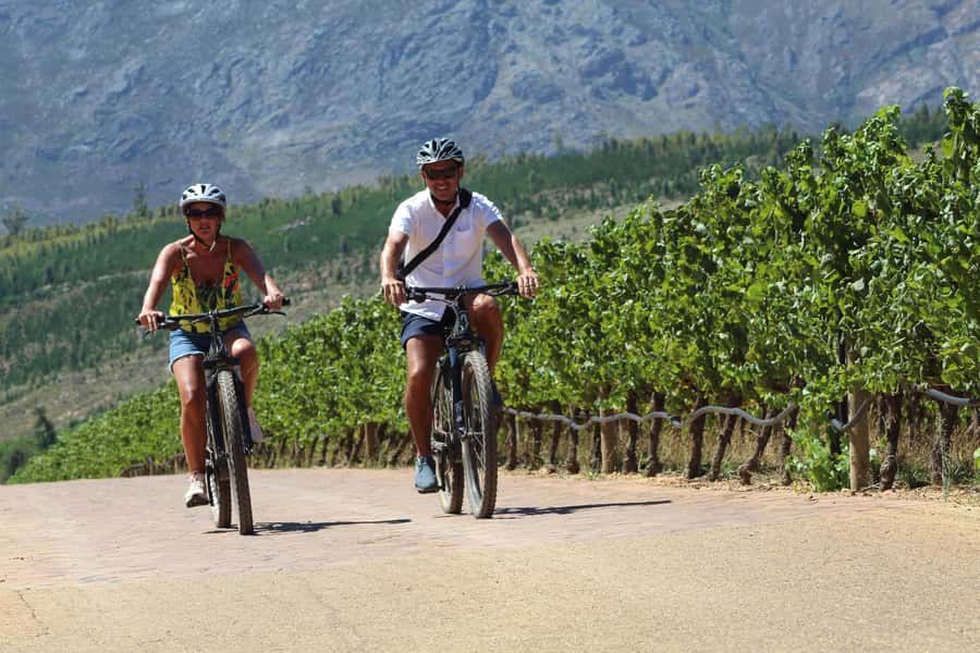 Franschhoek: E-Bike Guided Winery Tour - First winery stop: 45 minutes for a closer look
