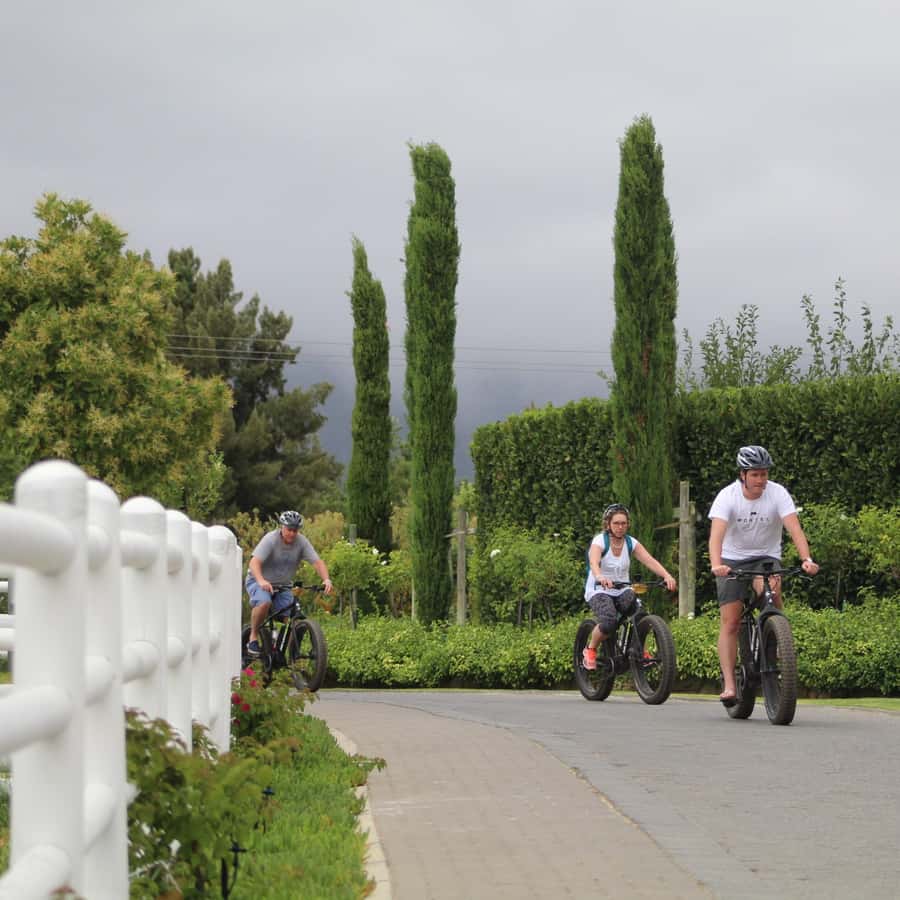 Franschhoek: E-Bike Guided Winery Tour - The first ride: village streets, vineyards, and mountain views