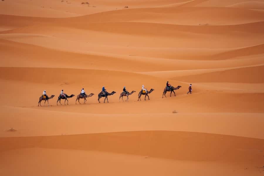From Agadir: 3-Day Desert Tour to Marrakech - Transport, group size, and the role of your driver