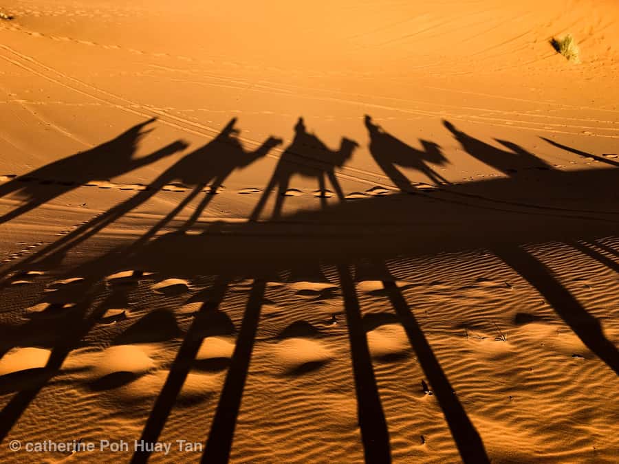 From Agadir: 4×4 Jeep Sahara Desert Tour with Lunch - Key points to know before booking