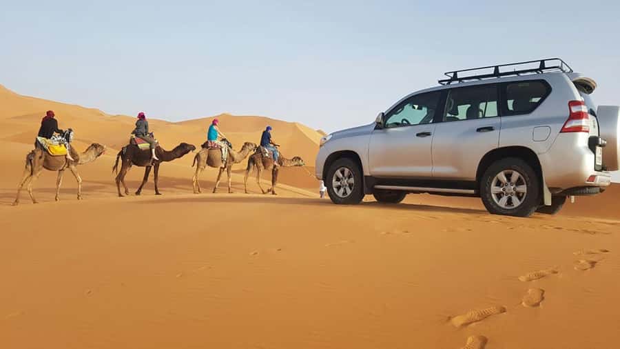 From Agadir: 4×4 Jeep Sahara Desert Tour with Lunch - What the $49 day actually gives you