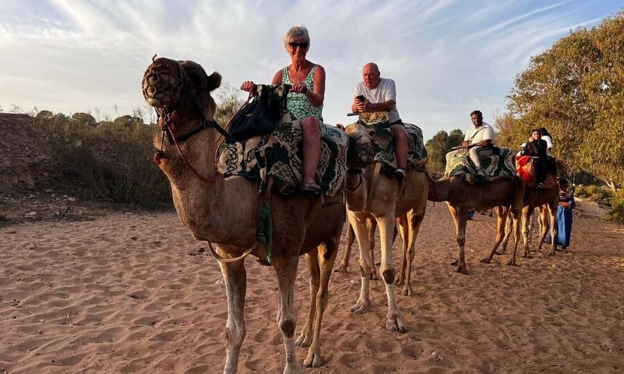 From Agadir: Camel Ride and Flamingo Trek - Meeting the camels and getting into the saddle