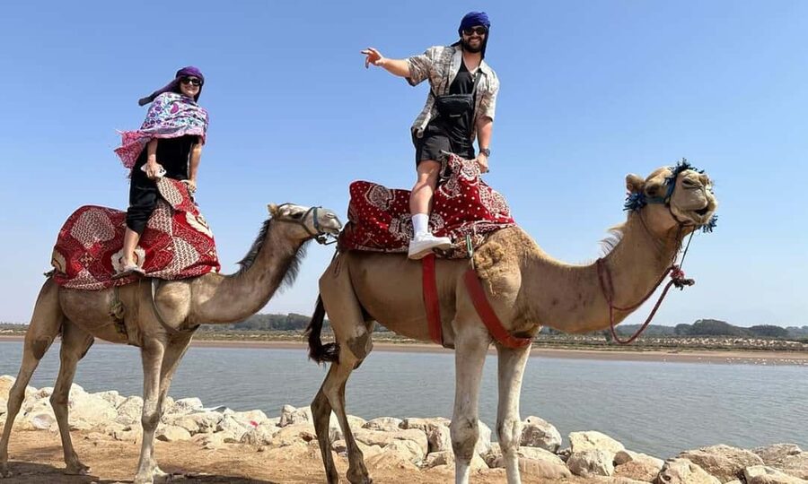 From Agadir: Camel Ride and Flamingo Trek - What to wear and bring for a hot ride