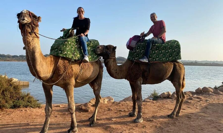 From Agadir: Camel Ride and Flamingo Trek - Who will enjoy this most?