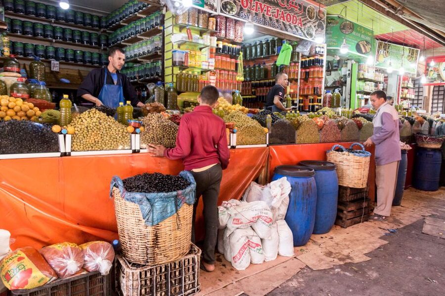 From Agadir: City Tour with Hotel or Port Transfers - What the guides add to the experience