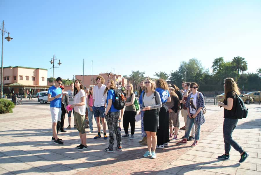 From Agadir: Guided Day Trip to Marrakech - Lunch, heat, and the amount of walking