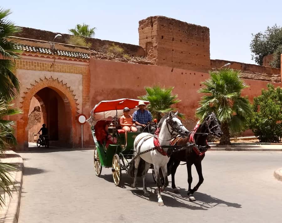From Agadir: Guided Day Trip to Marrakech - Why Marrakech is worth the six-hour road day