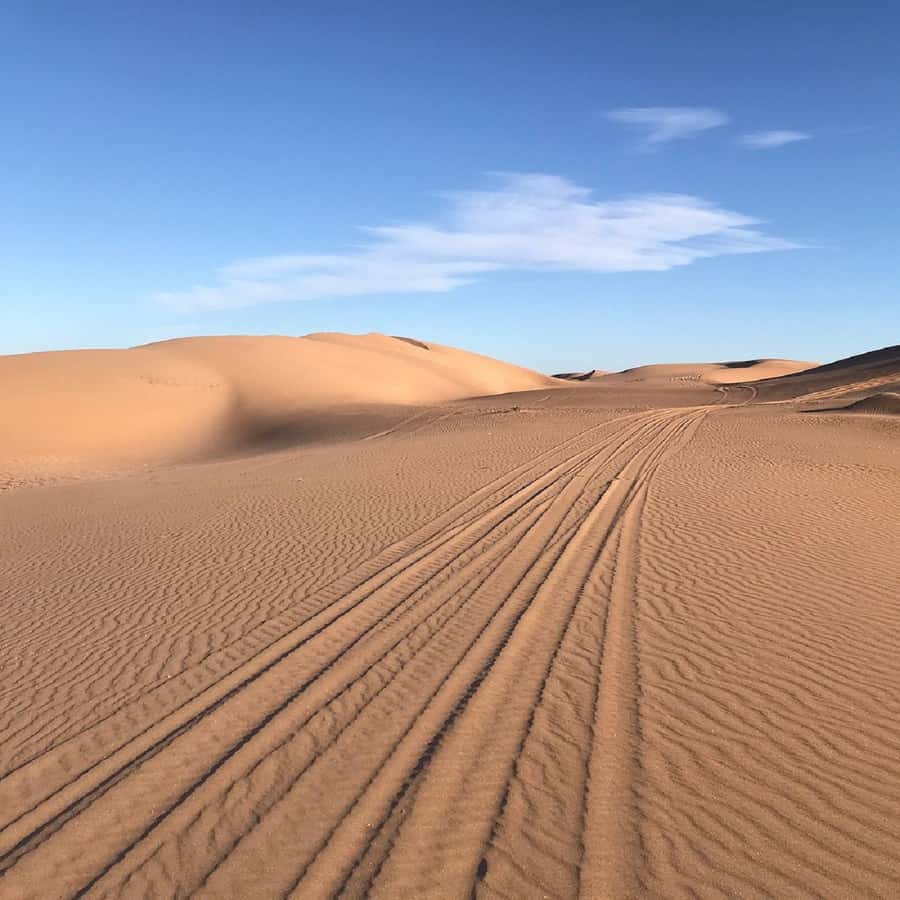 From Agadir: Jeep Desert Safari with Lunch and Camel Ride - Key points before you book