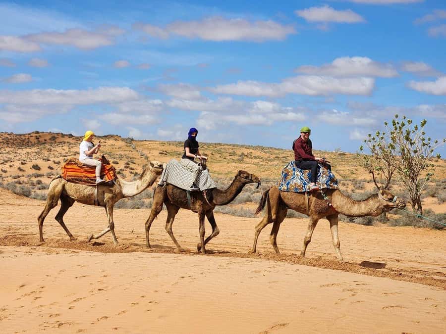 From Agadir: Jeep Desert Safari with Lunch and Camel Ride - What the $56 price really covers