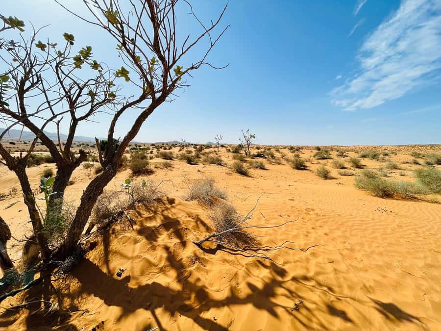 From Agadir: Jeep Desert Safari with Lunch and Camel Ride - From Agadir to the pottery workshops