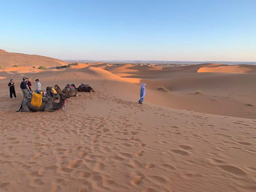 From Agadir: Jeep Desert Safari with Lunch and Camel Ride - Tiznit, silver work, and the old city walls
