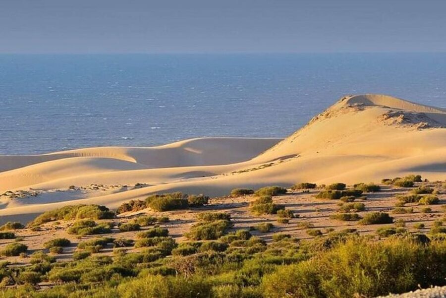 From Agadir: Jeep Desert Safari with Lunch and Camel Ride - A Berber lunch with tajine, couscous, and mint tea