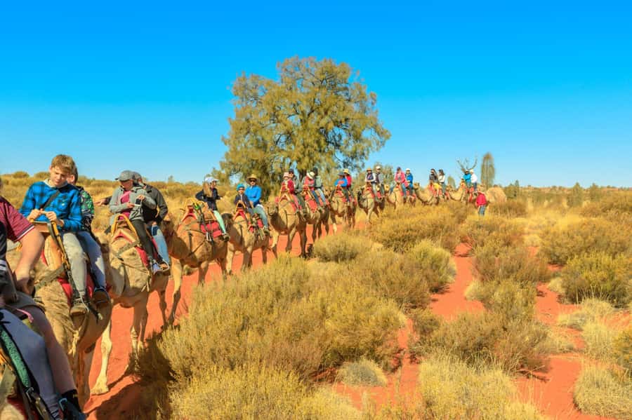 From Agadir or Taghazout: Camel Ride Berber Tour Experience - Following the river toward the flamingos