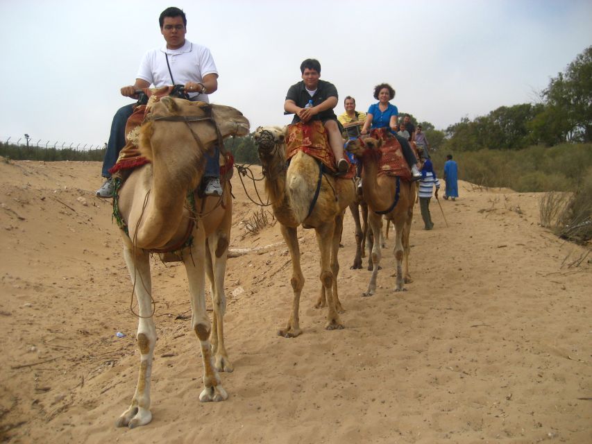 From Agadir or Taghazout: Camel Ride Berber Tour Experience - Why a sunset departure can be worth choosing