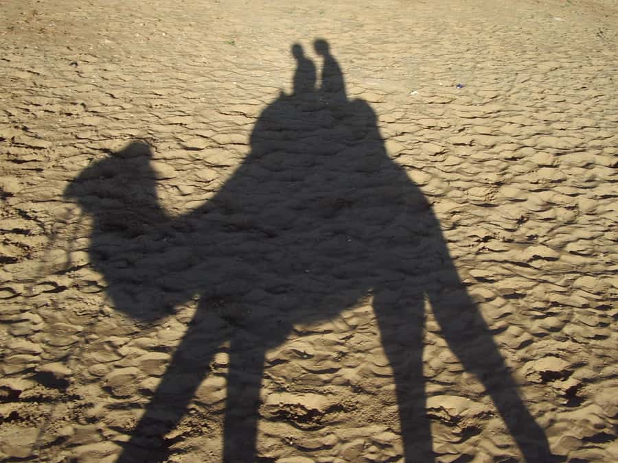 From Agadir or Taghazout: Camel Ride Berber Tour Experience - Who should book this tour
