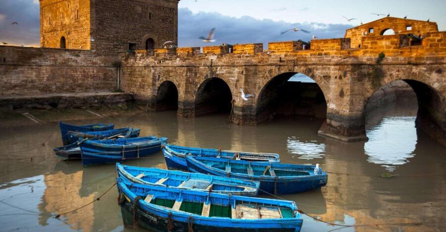 From Agadir or Taghazout: Essaouira Day Trip with Transfer - Key points to know before booking