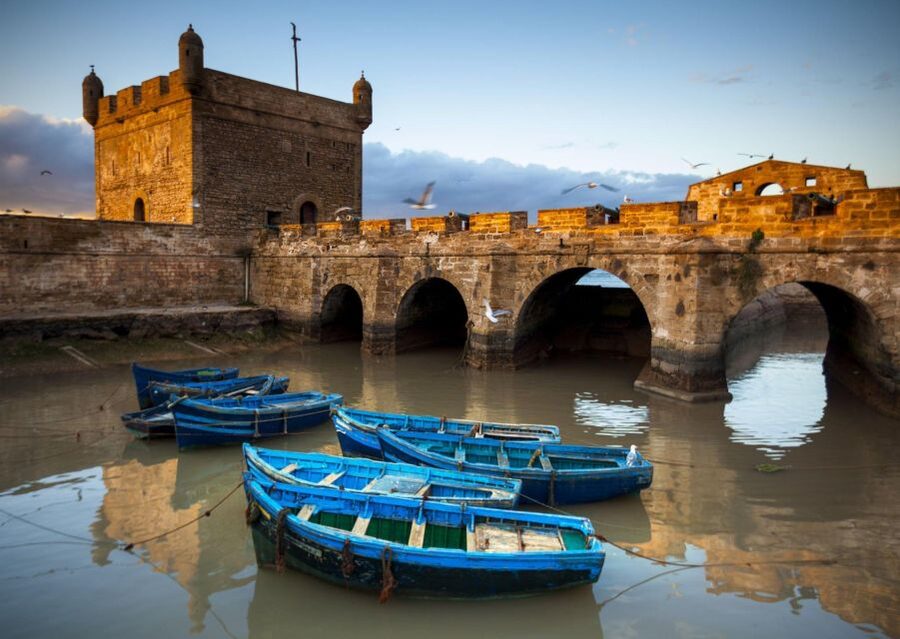 From Agadir or Taghazout: Essaouira Day Trip with Transfer - Is $41 good value?