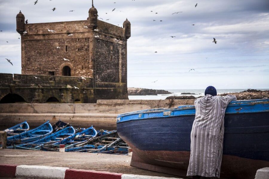 From Agadir or Taghazout: Essaouira Day Trip with Transfer - Lunch, fresh fish, and time to choose