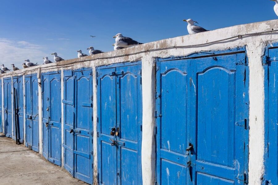 From Agadir or Taghazout: Essaouira Day Trip with Transfer - Essaouira’s 10-kilometer beach