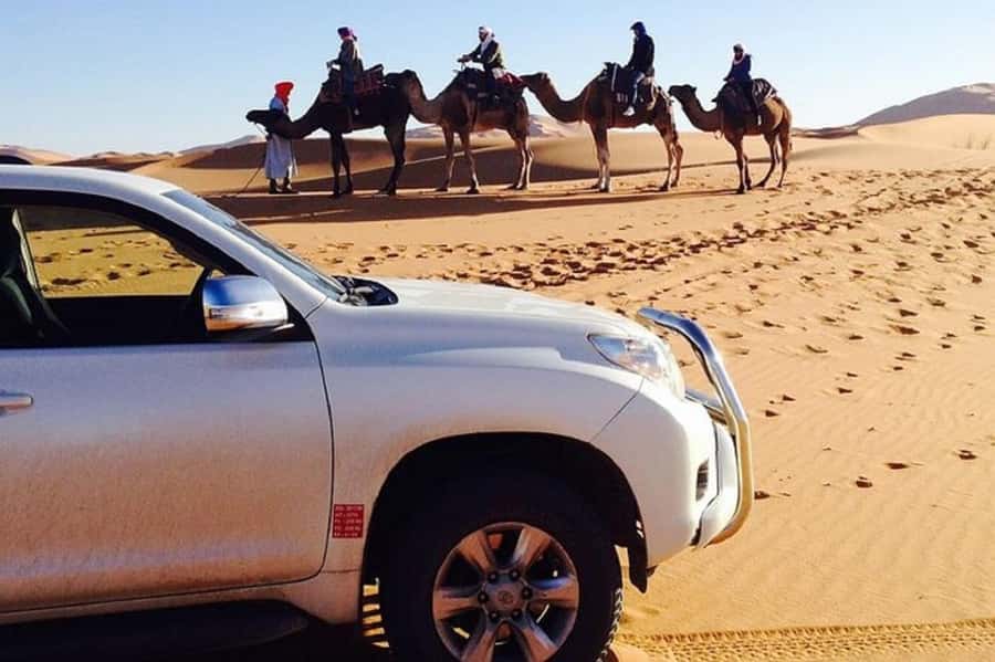From Agadir: Souss-Massa National Park Tour with Lunch - Key points to know before you go