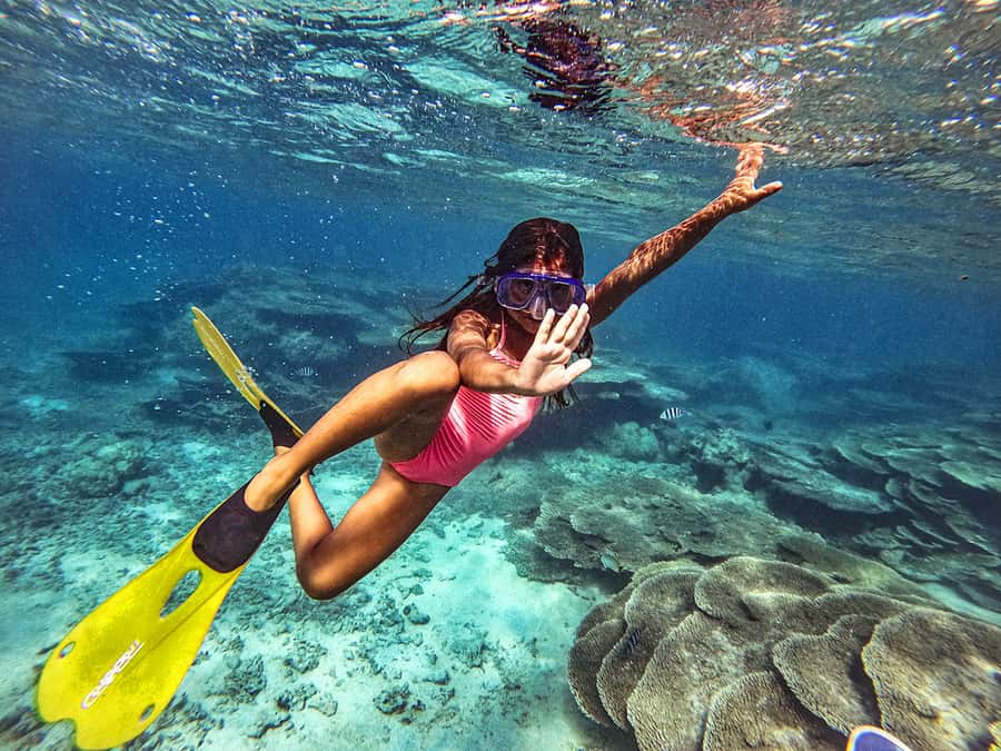 From Blue Bay: Ile aux Cerfs Speedboat Excursion with BBQ - Blue Bay Marine Park: the first snorkeling stop