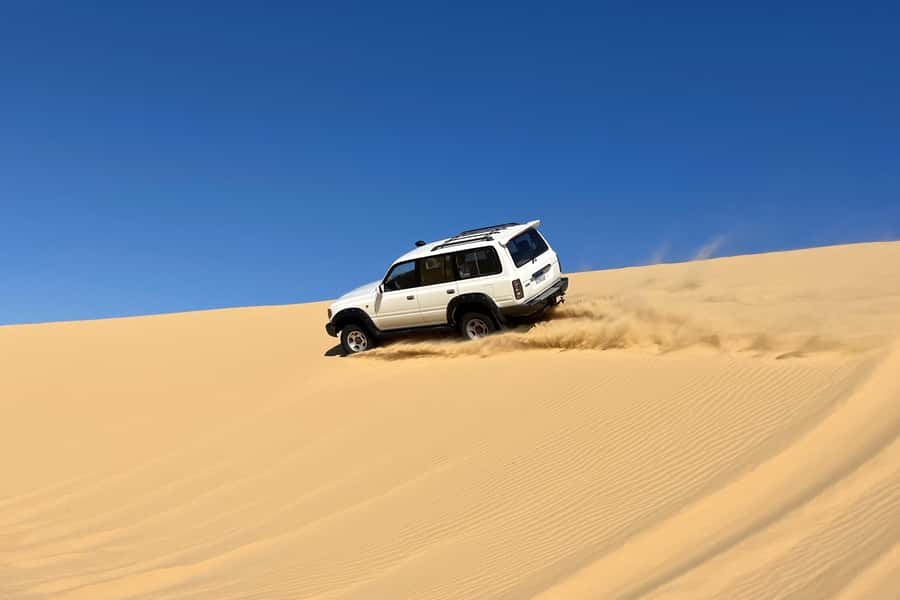 From Cairo: Desert Safari, Camel Ride, Magic Lake, & Lunch - Transport, groups, and the pace of the day