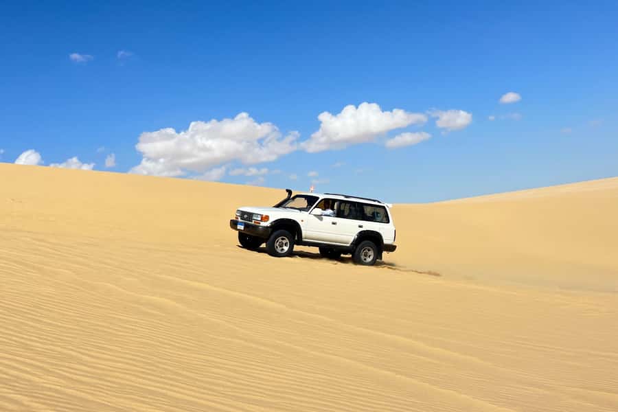 From Cairo: Desert Safari, Camel Ride, Magic Lake, & Lunch - Why this Faiyum day trip is worth the long ride