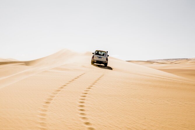 From Cairo: Desert Safari, Waterfalls, Sand boarding and Camel ride with Lunch - Why Wadi El Rayan Makes a Good Day Trip from Cairo