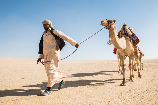From Cairo: Desert Safari, Waterfalls, Sand boarding and Camel ride with Lunch - Waterfalls in a Dry Desert Setting