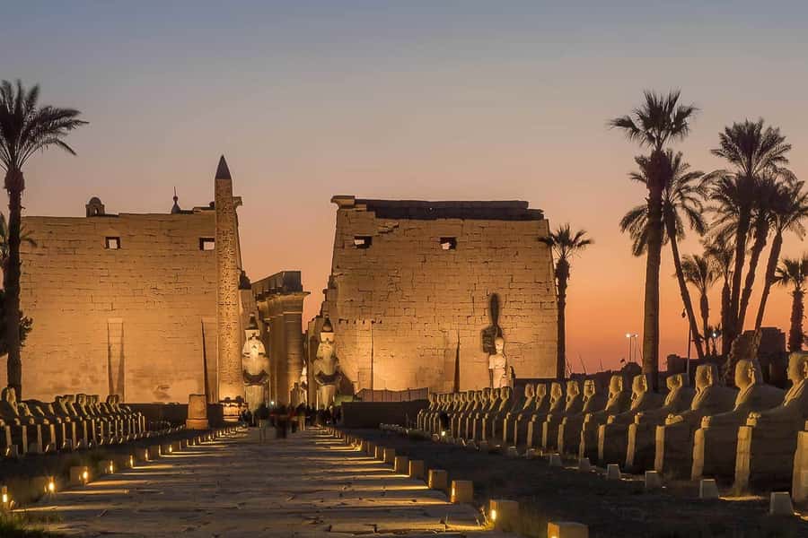 From Cairo: Private All-Inclusive Tour of Luxor by Plane - Lunch breaks up the west and east bank visits