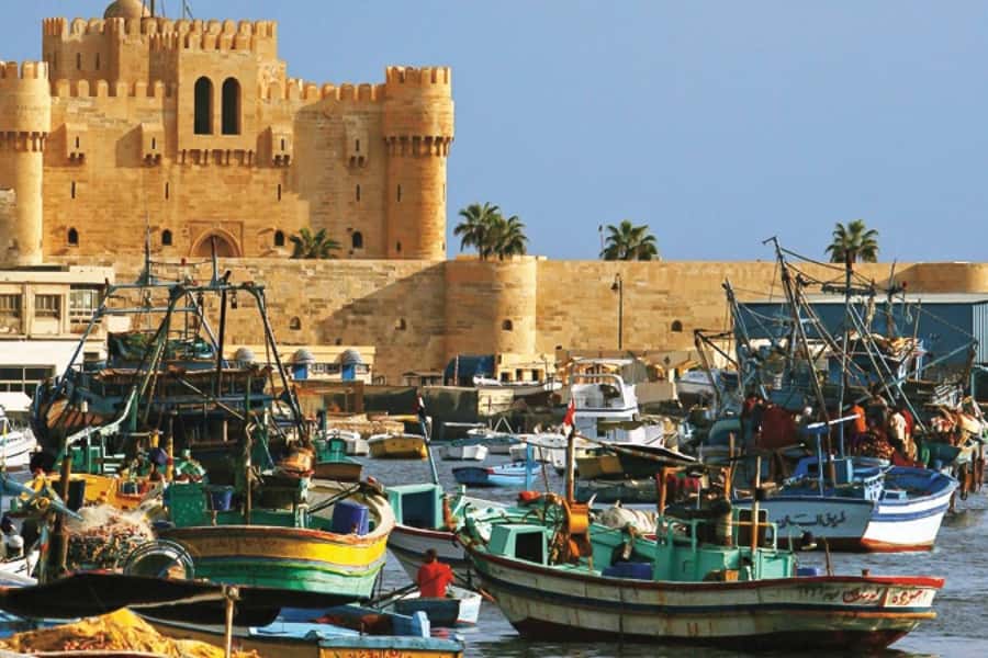 From Cairo: Private Full-Day Tour of Historical Alexandria - Key points to know before booking
