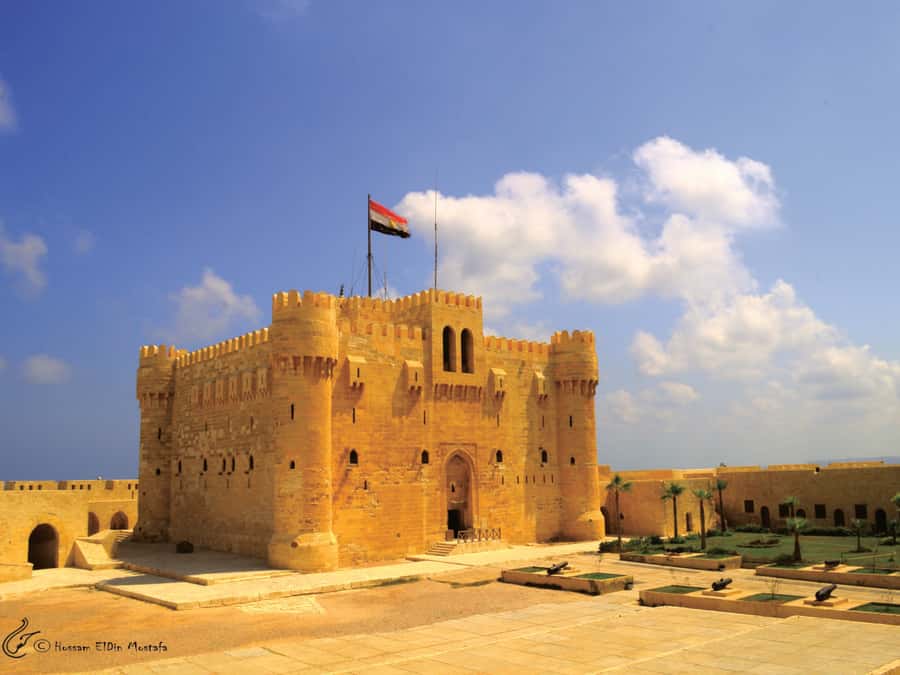 From Cairo: Private Full-Day Tour of Historical Alexandria - Guide quality can shape the entire day