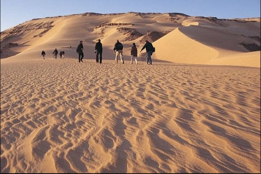 From Cairo: Whale Valley and Wadi El Rayan Waterfalls Tour - Key points to know before you book