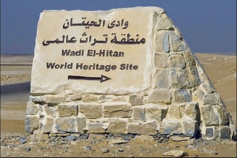 From Cairo: Whale Valley and Wadi El Rayan Waterfalls Tour - Qarun Lake, ancient water in a dry region