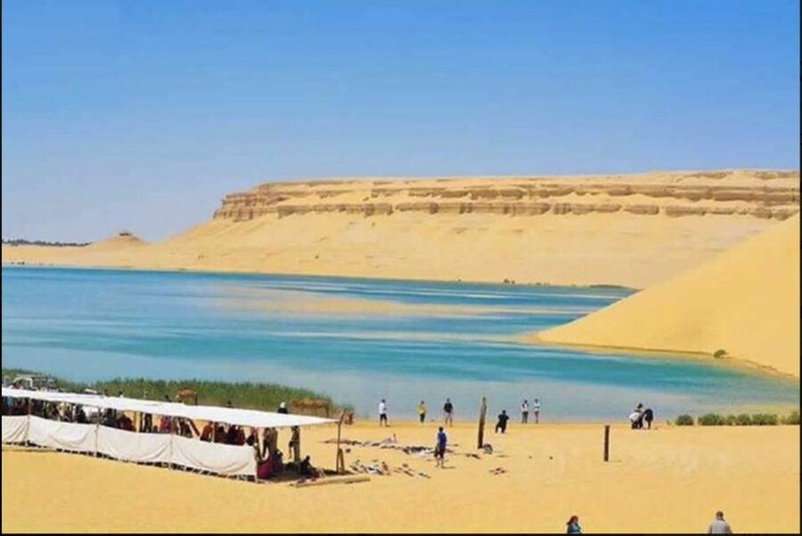 From Cairo: Whale Valley and Wadi El Rayan Waterfalls Tour - Magic Lake and the final desert stop