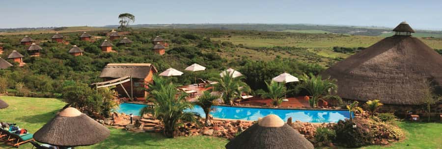 From Cape Town: 2-Day Safari at Garden Route Game Lodge - A safari that begins on the road
