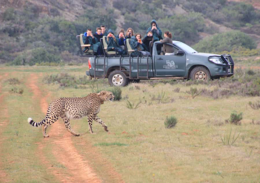 From Cape Town: 2-Day Safari at Garden Route Game Lodge - Cape Agulhas marks the southernmost point