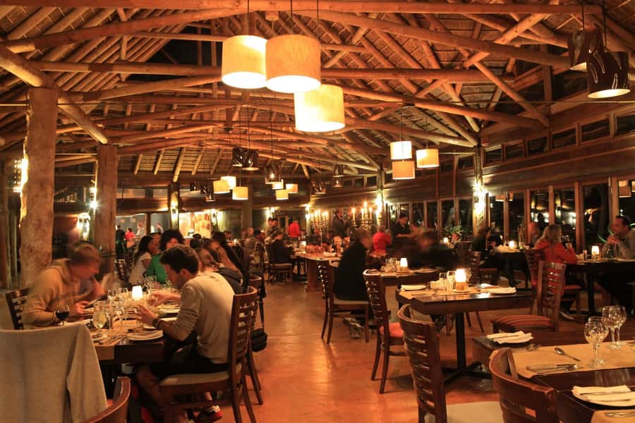 From Cape Town: 2-Day Safari at Garden Route Game Lodge - The return to Cape Town is part of the calculation
