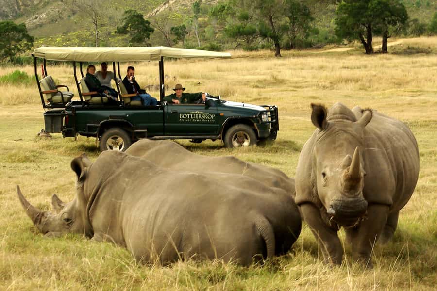 From Cape Town: 3-Day Garden Route Highlights and 4x4 Safari - Key points to know before booking