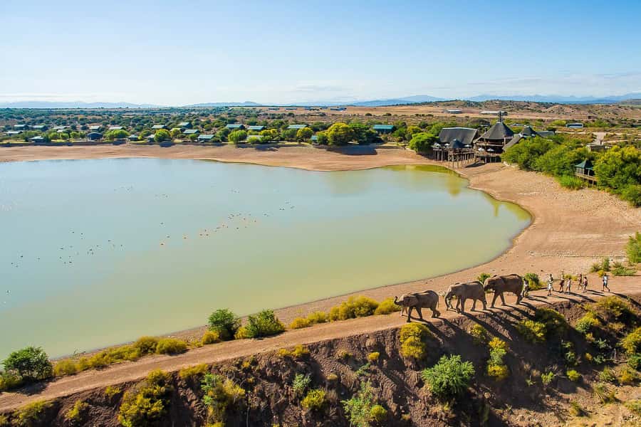 From Cape Town: 3-Day Garden Route Highlights and 4x4 Safari - Day two combines elephants, calm water, and a serious adrenaline option