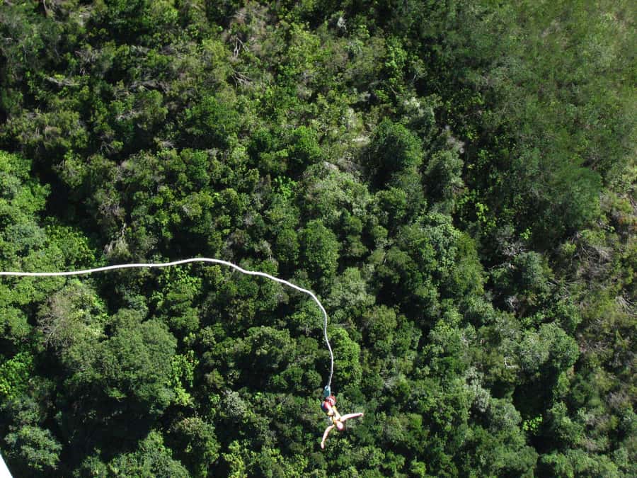 From Cape Town: 3-Day Garden Route Highlights and 4x4 Safari - The guide can make the road time much easier
