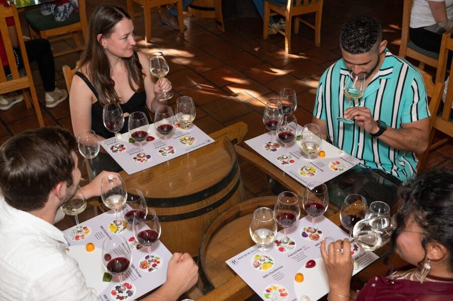 From Cape Town: 3 Regions Wine Tour with 3 Estates, 15 Wines - The Mandela stop at Drakenstein Prison