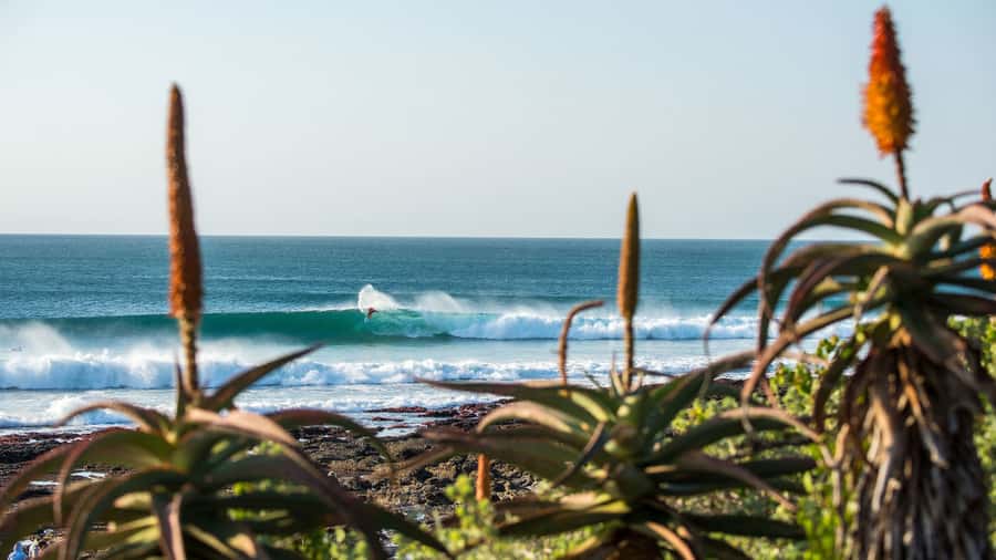 From Cape Town: 5-Day Best of Garden Route and Addo Safari - Key points to know before booking