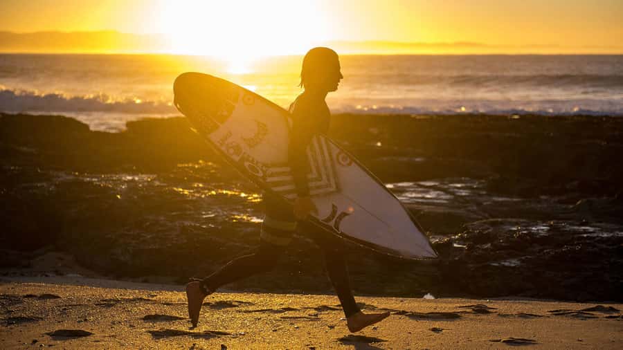 From Cape Town: 5-Day Best of Garden Route and Addo Safari - Who should book this trip